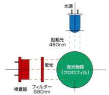 クロロフィルメーター CHL-5Z